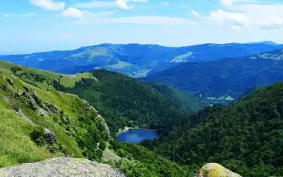 Lorraine digitale : les pages incontournables d’un site web réussi